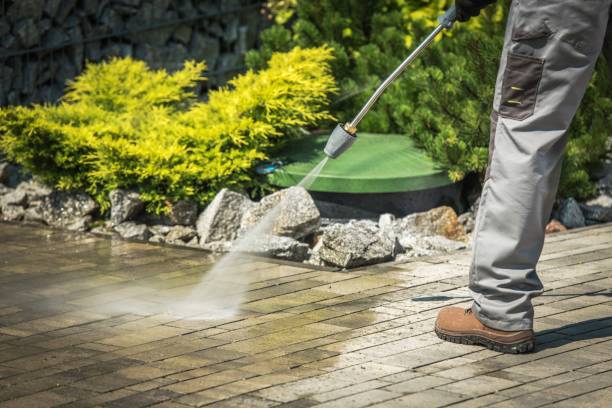 Best House Exterior Washing  in Pinewood Estates, TX